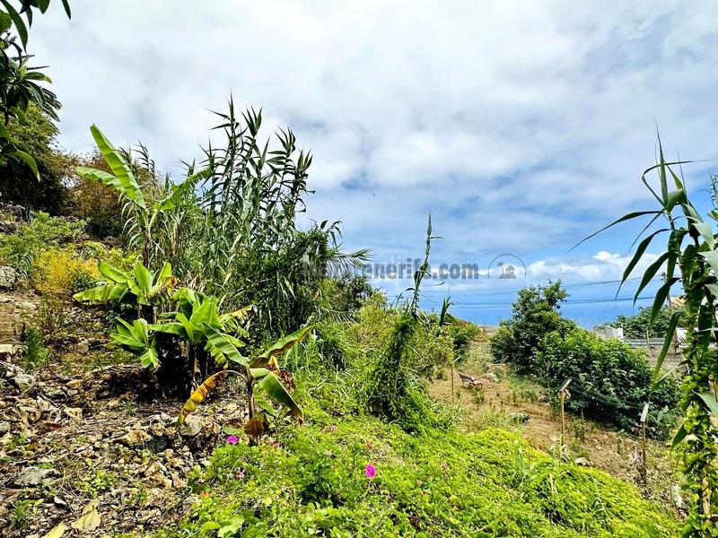 Foto 516c6b3b-07de-47d4-943a-e6d81385885b. Casa con parcheggio in Guancha (La)