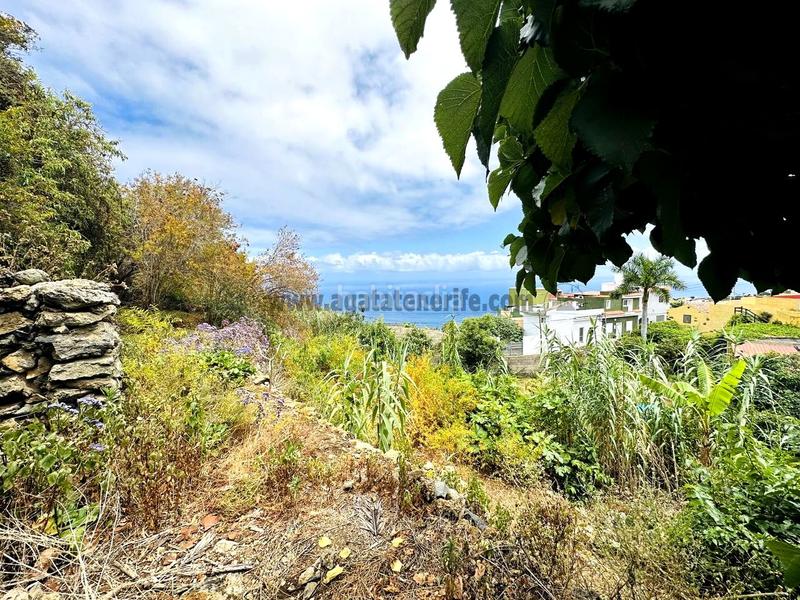 Foto faae82fa-84cd-4df8-a29a-180bdebd4f24. Casa con parcheggio in Guancha (La)