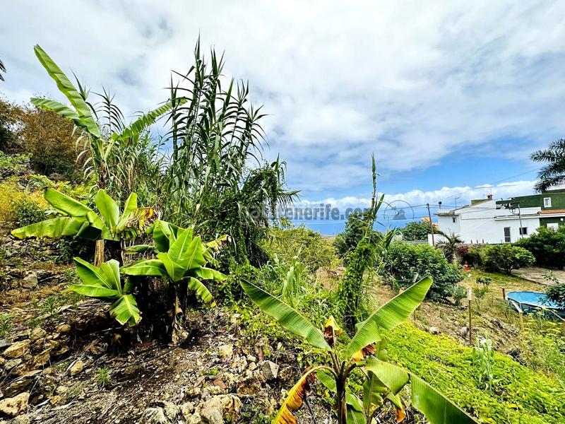 Foto 58469c84-a4b8-4e31-bef6-017ae8f445e7. Maison avec parking dans Guancha (La)