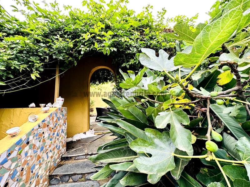 Foto 77db62f5-043b-41cc-97b5-1702fb7c09fe. Maison avec parking dans Guancha (La)