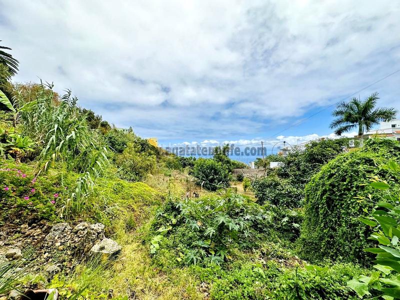 Foto 7fe84885-a430-42e8-8738-ac404aad0c02. Maison avec parking dans Guancha (La)