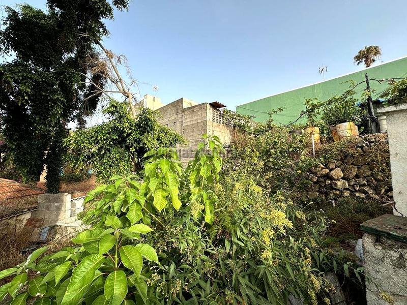 Foto b76ed223-596f-44f3-96b2-900a62dfb837. Casa a Los Realejos pueblo Realejos (Los)