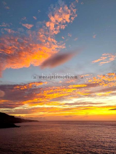 Foto f8ab3dbf-4371-4a6b-9251-d4b2d6471faf. Piso en Longuera - Toscal Realejos (Los)