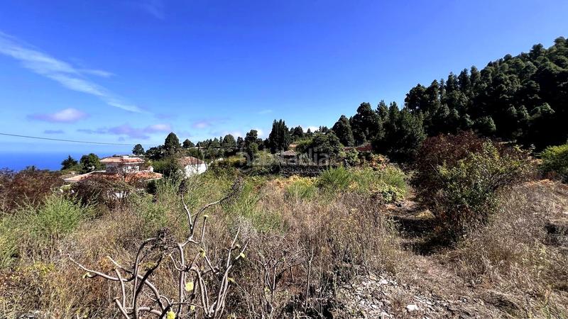 Foto 0fa12a15-b6ef-4b81-8ebe-08f28449e95c. Casale in La Vega - El Amparo - Cueva del Viento Icod de los Vinos