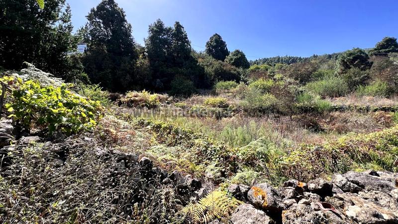 Foto 106ad064-eced-46b5-a059-6a74256bf453. Casale in La Vega - El Amparo - Cueva del Viento Icod de los Vinos