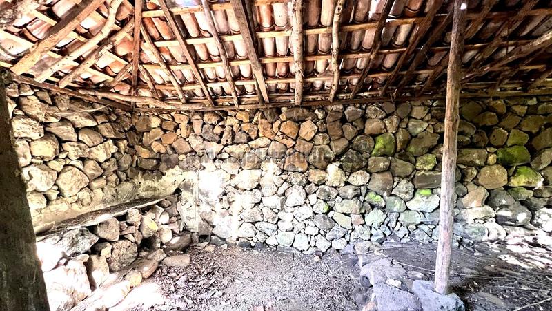 Foto 191d4ee9-8e5f-4009-8ea0-ae7e98a9c9d4. Casale in La Vega - El Amparo - Cueva del Viento Icod de los Vinos