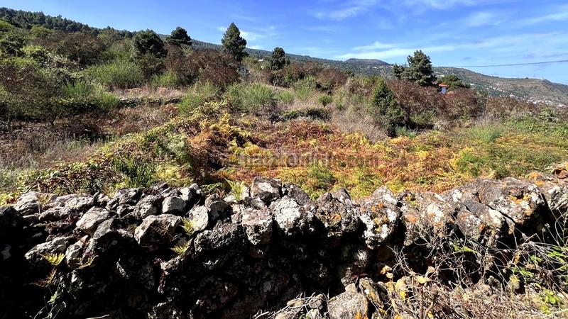 Foto 2b0796e0-c0a3-4701-9e9a-ca3dc2b6f698. Casale in La Vega - El Amparo - Cueva del Viento Icod de los Vinos