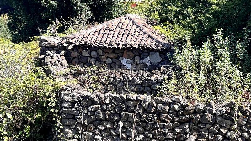 Foto 762a3648-7503-4af9-8d5f-ae3a8daa2c30. Casale in La Vega - El Amparo - Cueva del Viento Icod de los Vinos