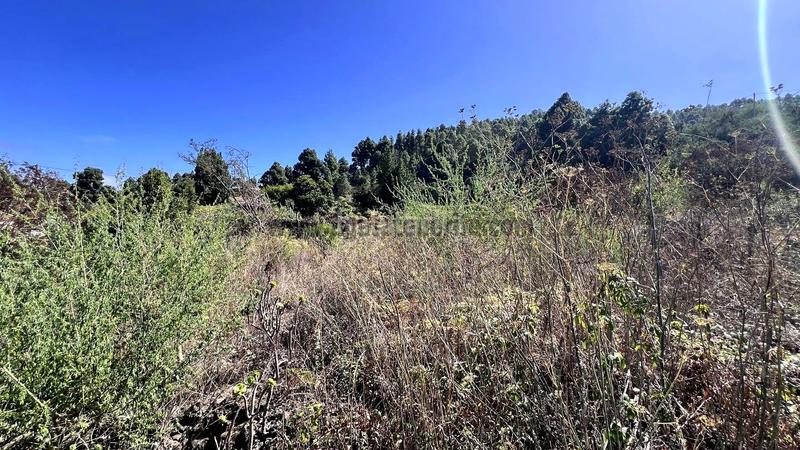 Foto b3e56ce8-60e6-424b-a4e9-ca28bb00d62c. Casale in La Vega - El Amparo - Cueva del Viento Icod de los Vinos
