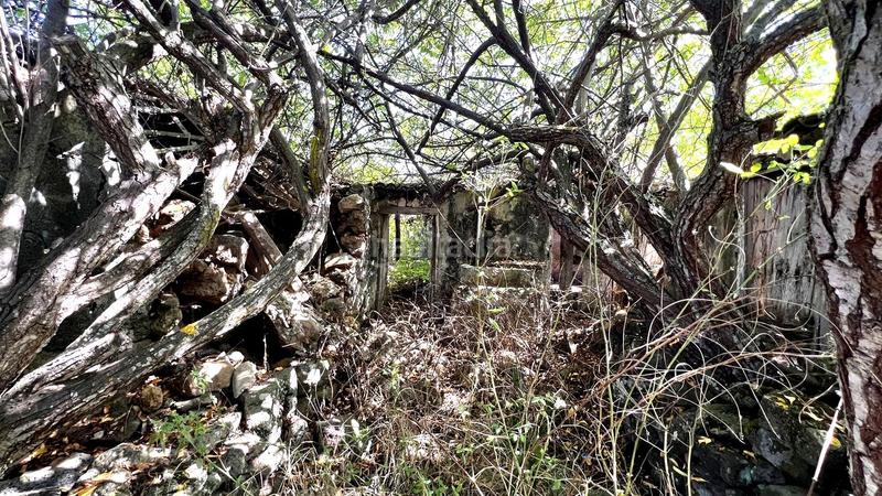 Foto f30e7801-50eb-404c-9ed0-432eba4bcd87. Casale in La Vega - El Amparo - Cueva del Viento Icod de los Vinos