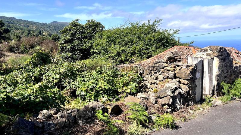 Foto fde849a1-a42b-4818-880d-9c1c75c72d18. Casale in La Vega - El Amparo - Cueva del Viento Icod de los Vinos