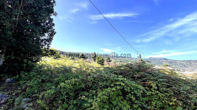 Foto feb25864-9504-4c3c-82d7-8e92ccbaaa87. Casale in La Vega - El Amparo - Cueva del Viento Icod de los Vinos