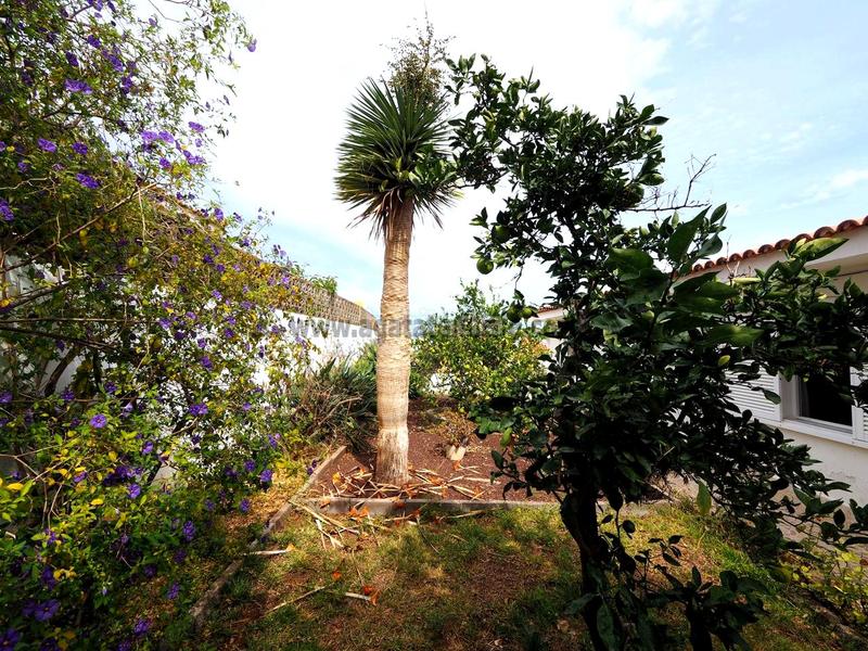 Foto 1cc2997b-69e2-4b42-b54c-e312191de0a4. Casa en Longuera - Toscal Realejos (Los)