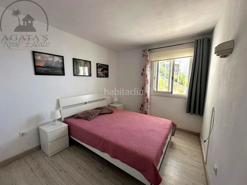 Foto 73a77069-564d-4d7f-b7dd-72ec75450331. Pis a Tabaiba Rosario (El)