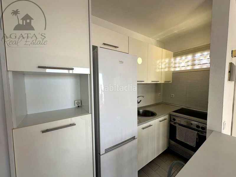 Foto 95b99016-c7ff-4c0f-ab5b-9b45a868f0e9. Pis a Tabaiba Rosario (El)