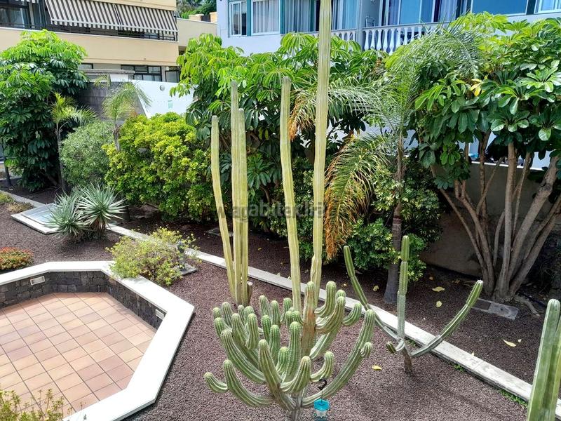 Foto e54be50c-47a9-444a-91c0-5373d469ffda. Appartement avec parking dans San Antonio - Las Arenas Puerto de la Cruz