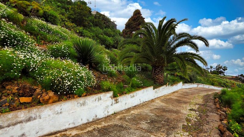 Foto bcbaf38e-6abf-4a52-a208-35521c983435. Casa a Guancha (La)