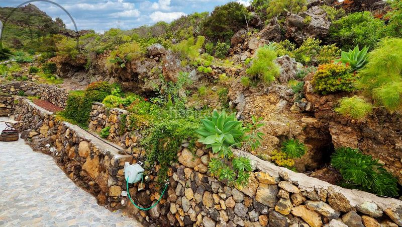 Foto d627e3ad-2553-4059-a4e9-c8dc29266b93. Casa a Guancha (La)