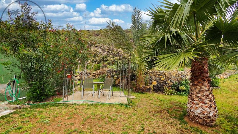 Foto dec23fd5-eeb9-4065-967b-288738056c48. Casa a Guancha (La)