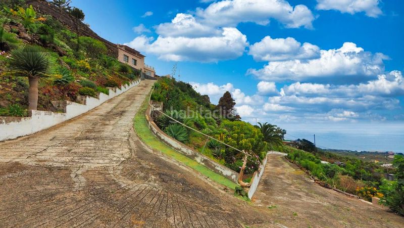 Foto e00b3523-8911-4c37-9197-3d5c0c9d6611. Casa a Guancha (La)