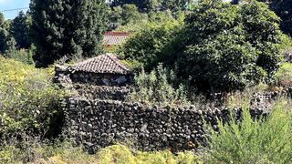 Finca rústica a La Vega - El Amparo - Cueva del Viento