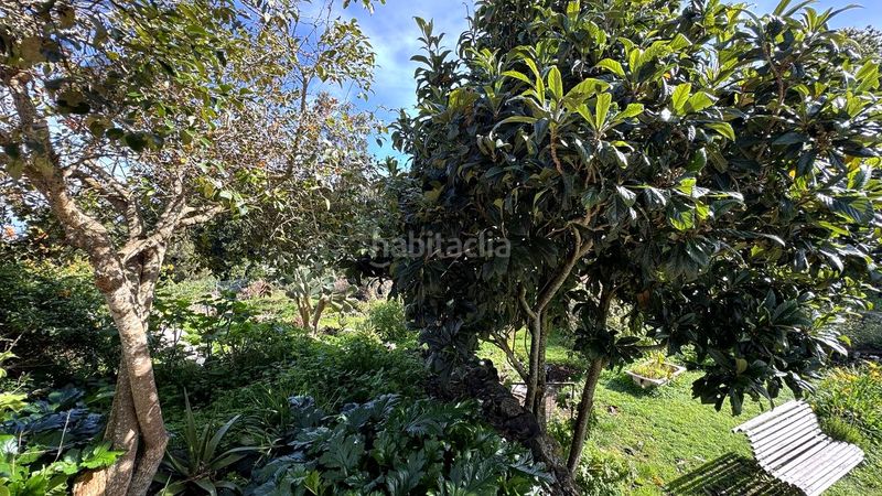 Foto 129c504c-59dd-4416-9446-0570aef0d837. Masia amb aparcament a Garachico