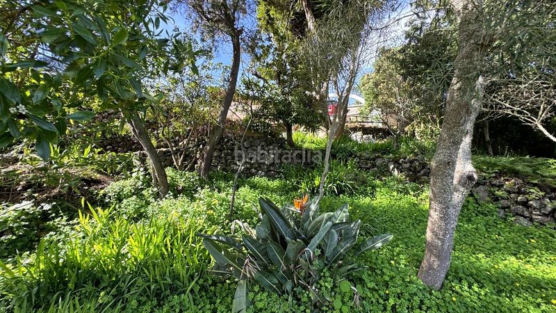 Foto b7f0d3c4-9e88-4c06-9267-c817ece81f61. Masia amb aparcament a Garachico