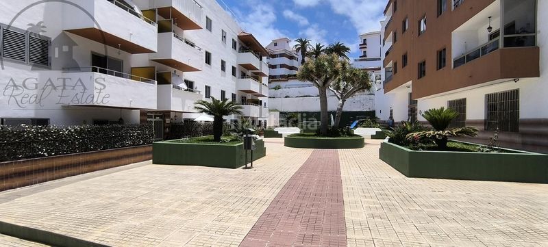 Foto b7d8fba7-dc69-4f30-a929-f4305021ab06. Planta baixa a Longuera - Toscal Realejos (Los)