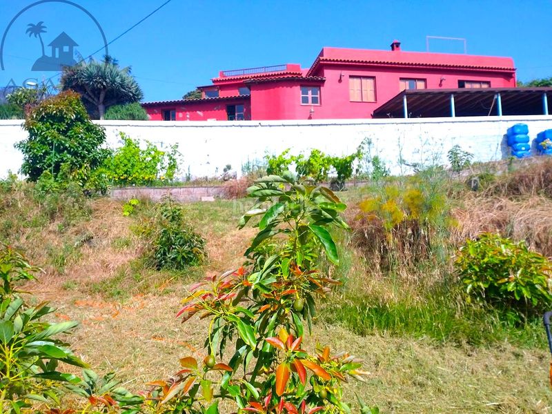 Foto 63bff1d2-5369-437f-affe-882cd3e461f7. Masia a Centro Orotava (La)