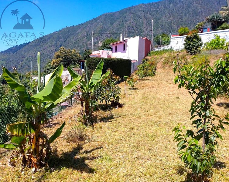 Foto b36e1a2d-c32e-4535-8551-f17a8d277195. Masia a Centro Orotava (La)