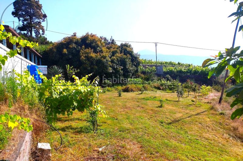 Foto ed9f129b-27e8-46ff-9f2e-b476f181030f. Masia a Centro Orotava (La)