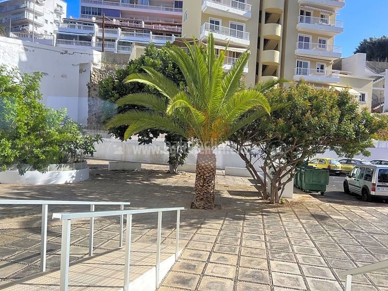 Foto 2f6ddb4d-9b86-4c26-96f5-5c834235e222. Pis a San Felipe - San Marcos - Las Cañas Icod de los Vinos