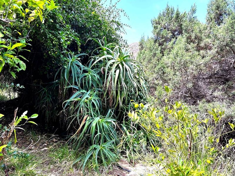 Foto a1eeda9a-8451-4c3e-8527-a0bce0ab4309. Masia amb calefacció a Vallehermoso