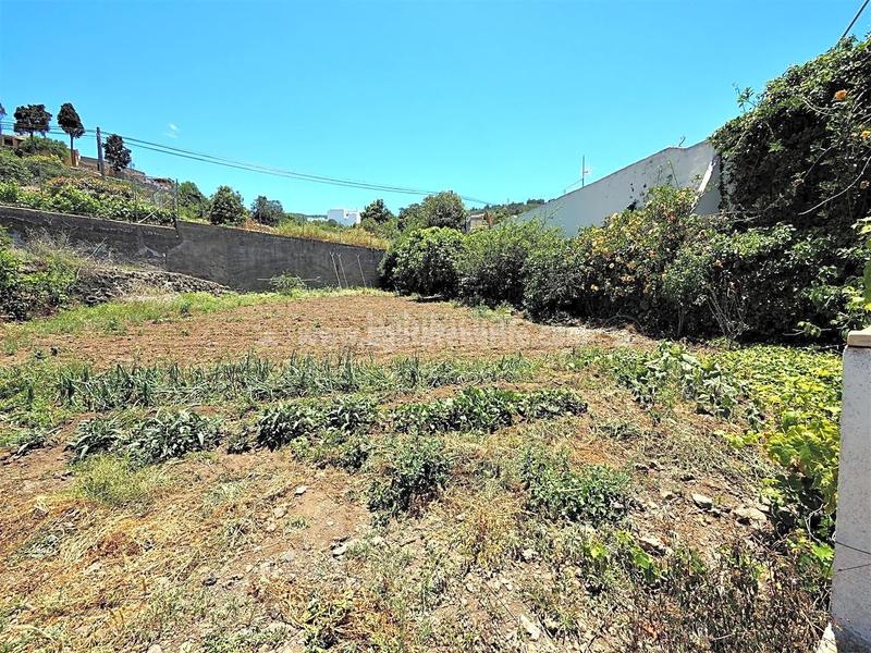 Foto 626c6fb7-5830-41bb-be90-f5a85b02f178. Casale in La Vega - El Amparo - Cueva del Viento Icod de los Vinos
