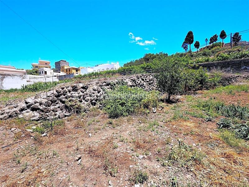 Foto 92a1e536-d6cd-48f5-a702-c3e8a15e2370. Casale in La Vega - El Amparo - Cueva del Viento Icod de los Vinos
