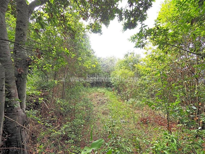 Foto aa5f3a8e-8b4e-477c-a56b-8997a7d2f106. Masia amb aparcament a La Vega - El Amparo - Cueva del Viento Icod de los Vinos
