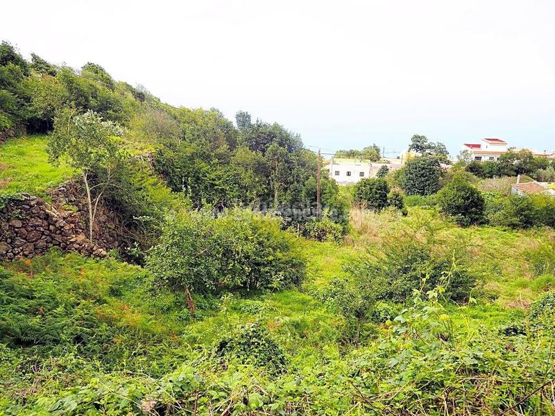 Foto acd2a1ef-0064-4bf8-8d8b-270ecb86ce41. Masia amb aparcament a La Vega - El Amparo - Cueva del Viento Icod de los Vinos