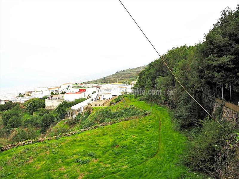 Foto c6217653-16a2-4250-bc8d-8f150cbef996. Masia amb aparcament a La Vega - El Amparo - Cueva del Viento Icod de los Vinos
