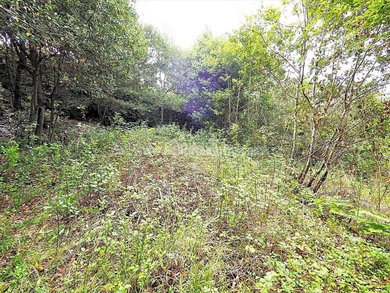 Foto de01c69c-7af8-4af1-961d-6939e3e59e9d. Masia amb aparcament a La Vega - El Amparo - Cueva del Viento Icod de los Vinos