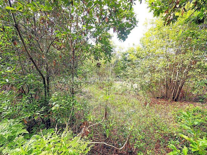 Foto f7fe5768-afc1-4ef0-b95c-1999feee23e2. Masia amb aparcament a La Vega - El Amparo - Cueva del Viento Icod de los Vinos