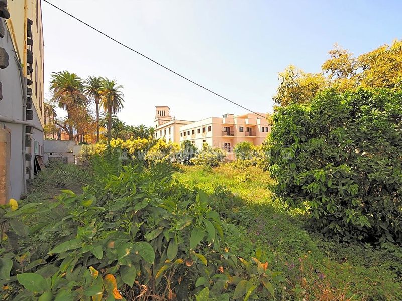 Foto 76824119-aacb-4a01-91c7-e04eeb945e69. Haus in Centro Orotava (La)