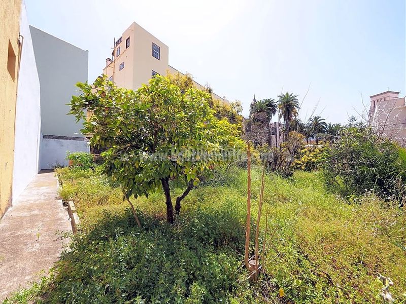 Foto c95b523a-494b-4e47-8a23-c971ff5e25c1. Haus in Centro Orotava (La)