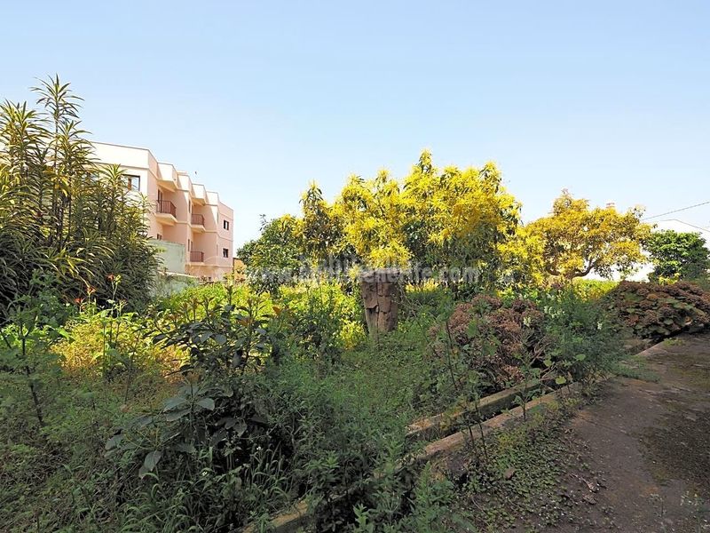 Foto cd8a5f94-bc93-42dc-a144-4dcaa92d1666. Haus in Centro Orotava (La)
