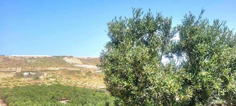 Foto bc4dd497-3127-4198-986c-344c60cf97b2. Finca rústica a Arico