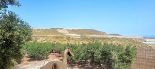 Finca rústica en Arico. Se cultivan todo tipo de verduras y frutas como papayas, mangos,