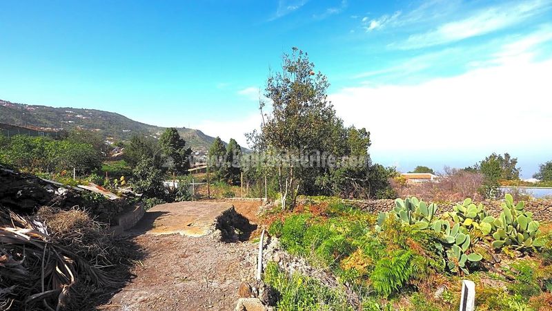 Foto 3ba3cec6-cd6d-48eb-8c5f-7fb12e689970. Masia amb aparcament a La Vega - El Amparo - Cueva del Viento Icod de los Vinos