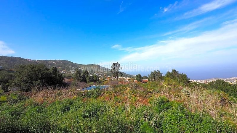 Foto 55c61841-bdee-4b77-a510-d4b17b19d21b. Masia amb aparcament a La Vega - El Amparo - Cueva del Viento Icod de los Vinos