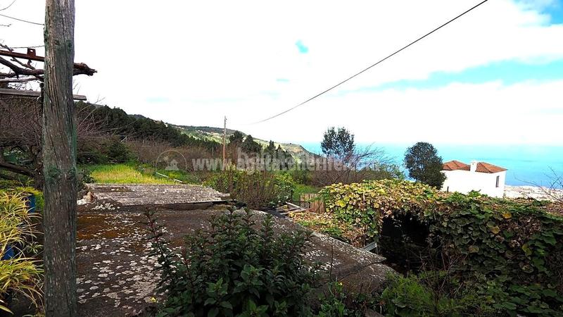 Foto 7d673a4e-6a1b-4eed-9e73-a823bafe83d0. Bauernhof in La Vega - El Amparo - Cueva del Viento Icod de los Vinos