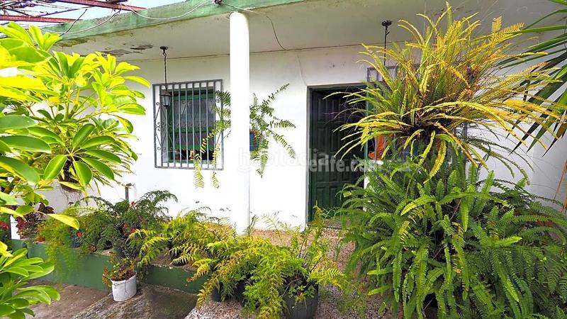 Foto 7e94cd05-68cb-4475-a3ec-1ee8543176c2. Bauernhof in La Vega - El Amparo - Cueva del Viento Icod de los Vinos