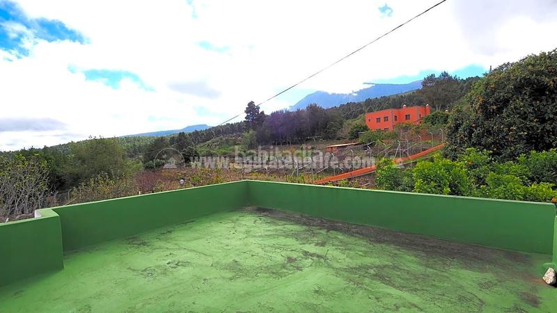 Foto 973f3e70-a253-4109-9519-d05fac5a0060. Bauernhof in La Vega - El Amparo - Cueva del Viento Icod de los Vinos